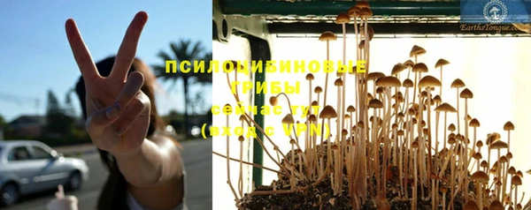 МДПВ Балахна